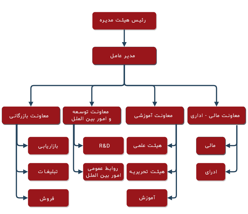 Organization Chart